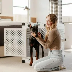 Pet fees and pet rent