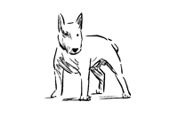 Pet-friendly Weyers Cave Apartment Icon