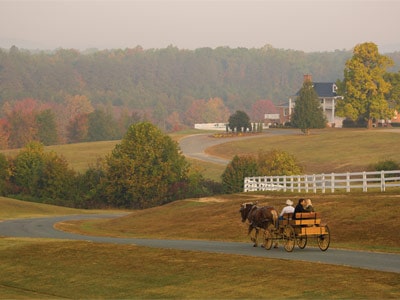 Horse Carriage in Shenandoah Valley
