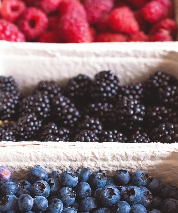 Weyers Cave Farmers Farmers Markets