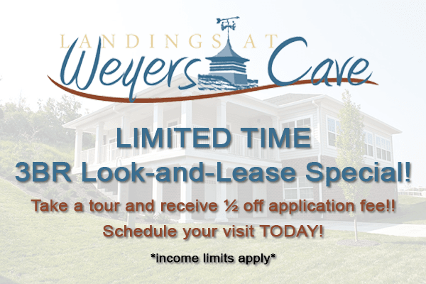 Landings Look and Lease Special
