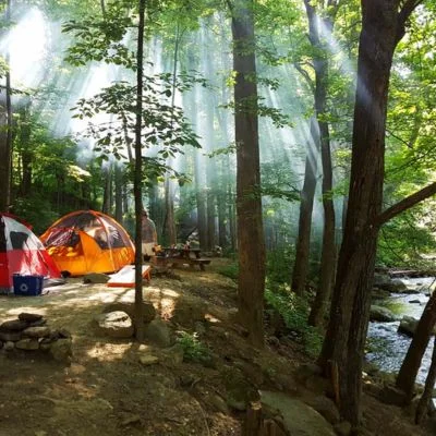Crabtree Falls Campground near Weyers Cave VA