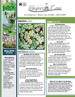 March 2020 Newsletter