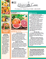 August 2019 Newsletter