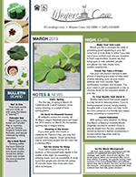 March 2019 Newsletter